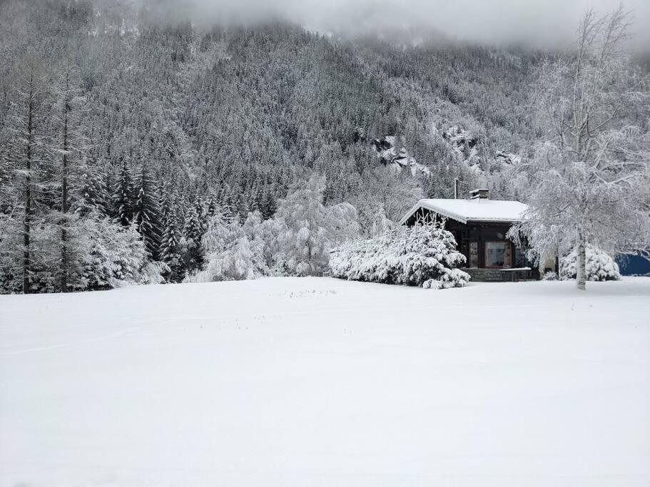 Chalet L'Ilet Ensoleille /Sunny Island Chalet Chamonix Exteriér fotografie